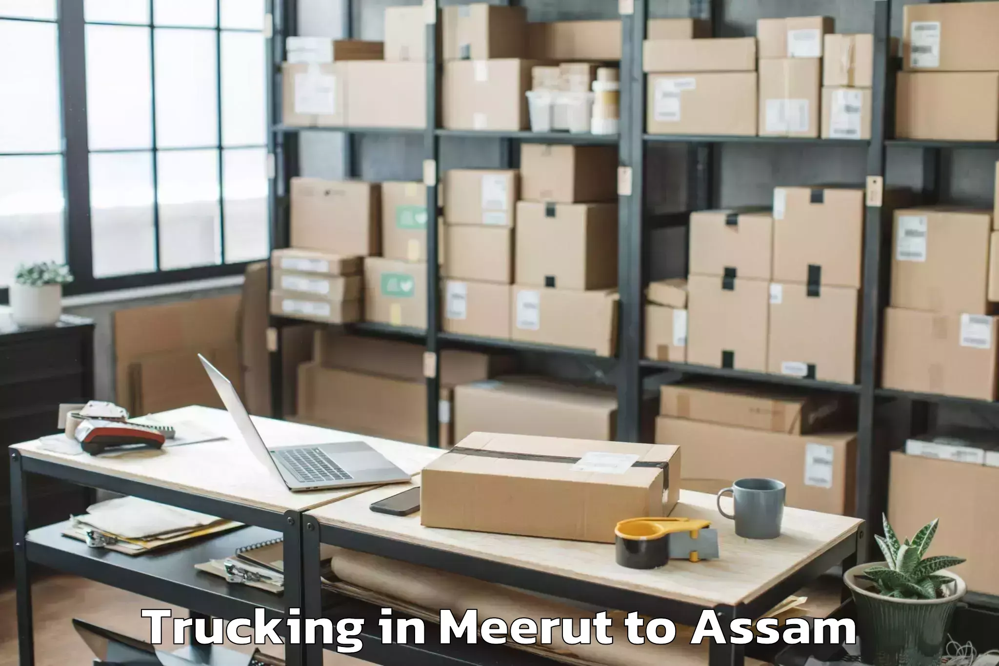 Book Your Meerut to Fekamari Trucking Today